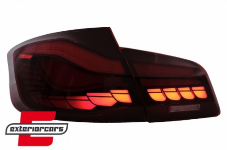 OLED stražnja svjetla SEQ žmigavci (crvena/kristal) / BMW serije 5 F10 (2011-2017), LDBMK5
