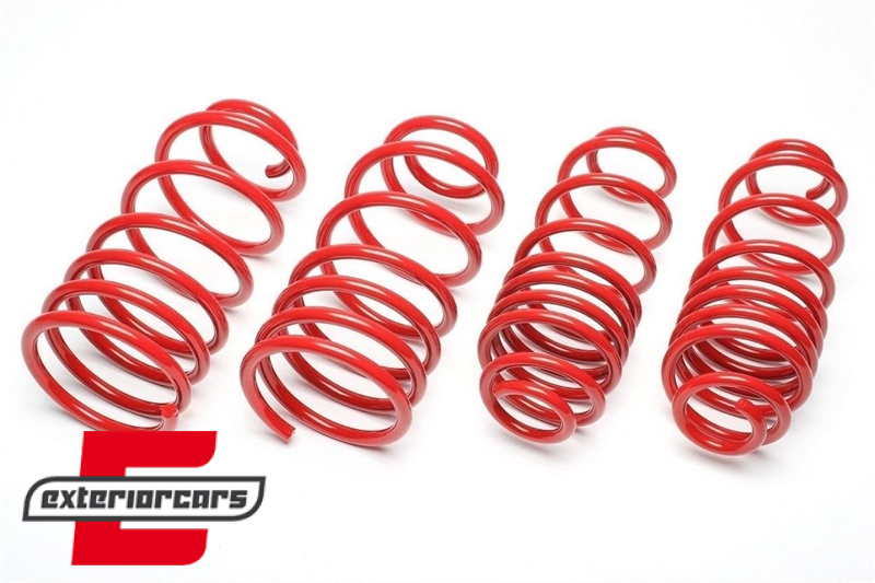 Opruge Ta Technix 20/40mm / Ford Transit Connect (2018-), EVOFO173F